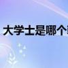 大学士是哪个朝代（当朝大学士统共有五位）