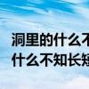 洞里的什么不知长短十二生肖歇后语（洞里的什么不知长短）