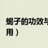 蝎子的功效与作用吃法（中药蝎子的功效与作用）