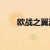 欧战之翼游戏苏33视频（欧战之翼）