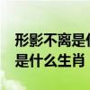形影不离是什么生肖?百禾星座网(形影不离是什么生肖) 形影不离是什么生肖?百禾星座网(形影不离是什么生肖)