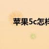 苹果5c怎样越狱（iphone5怎么越狱）