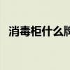消毒柜什么牌子的好（康宝消毒柜怎么样）
