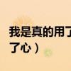 我是真的用了心我是真的动了情（我是真的用了心）