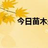 今日苗木最新求购信息（求购信息）