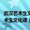 武汉艺术生文化课考多少分能上一本（武汉艺术生文化课）