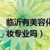 临沂有美容化妆专业的技校吗（临沂技校有化妆专业吗）