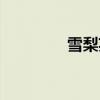 雪梨英文名字（雪梨英文）