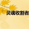 灵魂收割者加点100（灵魂收割者加点）