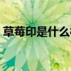 草莓印是什么样子照片（印照片的杯子设备）