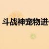 斗战神宠物进化技名称（斗战神宠物进化技）