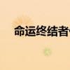 命运终结者什么意思（命运之终结手镯）