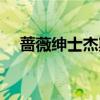 蔷薇绅士杰斯手感（蔷薇绅士杰斯特效）