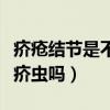 疥疮结节是不是里面还有幼虫（疥疮结节里有疥虫吗）