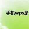 手机wps是什么软件（wps是什么软件）