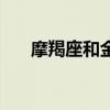 摩羯座和金牛配吗（摩羯座配金牛座）