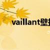 vaillant壁挂炉说明书（壁挂炉说明书）