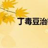 丁毒豆治癌（丁毒豆对癌症的作用）