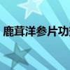 鹿茸洋参片功效作用及副作用（鹿茸洋参片）