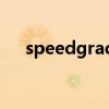 speedgrade3 内存卡（speedgrade）