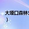 大垭口森林公园下雪2022（大垭口森林公园）