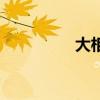 大相径庭的拼音（大相）