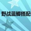 野战蓝鲫搭配什么最好（野战蓝鲫怎么搭配）