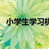 小学生学习机有用吗（小学生电脑学习机）