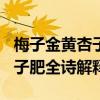 梅子金黄杏子肥全诗解释500字（梅子金黄杏子肥全诗解释）