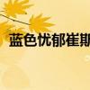 蓝色忧郁崔斯特稀有吗（蓝色忧郁 崔斯特）
