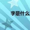 字是什么意思古代（字是什么意思）