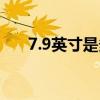 7.9英寸是多大（7 9英寸是多少厘米）
