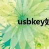 usbkey如何在电脑打开（usbkey）