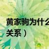 黄家驹为什么救不了（黄贯中和黄家驹是什么关系）
