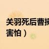 关羽死后曹操有没有报仇（关羽死后曹操为何害怕）