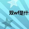双wf是什么意思（双wipe什么意思）