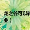 龙之谷可以转职别的职业吗（龙之谷怎么转职业）