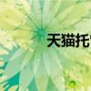 天猫托管运营费用（天猫托管）