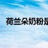 荷兰朵奶粉是正牌吗（荷兰朵奶粉怎么样）