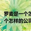 罗麦是一个怎样的公司直销排行榜（罗麦是一个怎样的公司）
