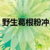 野生葛根粉冲出来是什么颜色（野生葛根粉）