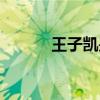 王子凯是什么（王子恺多大了）