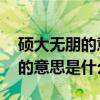 硕大无朋的意思是什么 标准答案（硕大无朋的意思是什么）
