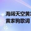 海阔天空黄家驹歌词表达的意思（海阔天空 黄家驹歌词）