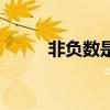 非负数是什么数（非负数是什么）