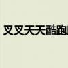 叉叉天天酷跑助手（叉叉酷跑助手结算异常）