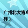 广州北大青鸟哪个校区好(广州北大青鸟怎么样) 广州北大青鸟哪个校区好(广州北大青鸟怎么样)