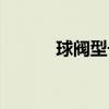 球阀型号字母代表（球阀型号）