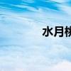水月桃花（耀眼的水月水银）