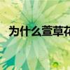 为什么萱草花被称为母亲之花（萱草忘忧）